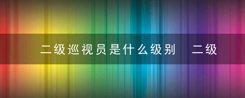 二级巡视员是什么级别 二级巡视员的介绍